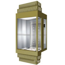 Stainless Steel 1000kg Machine Roomless Observation Elevator